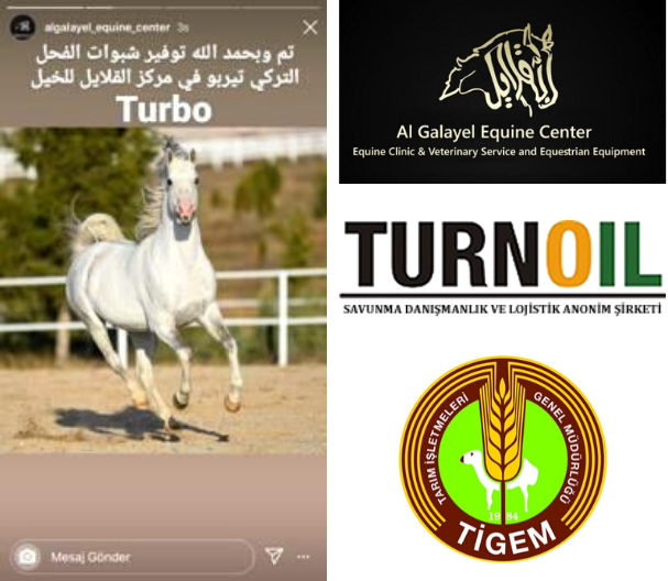 Spermaları 1.5 Milyon Liraya Katar’a satıldı!